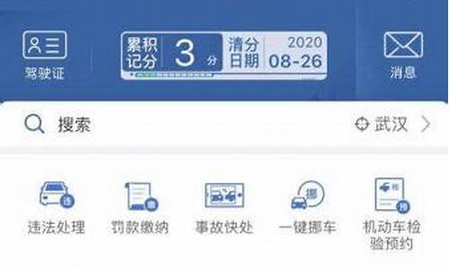 湖南违章查询免费查违章_湖南违章查询